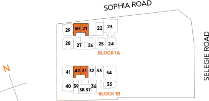 scale-1B1