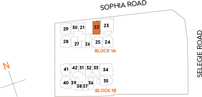 scale-2C2