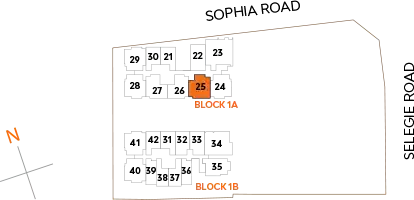 scale-2S2